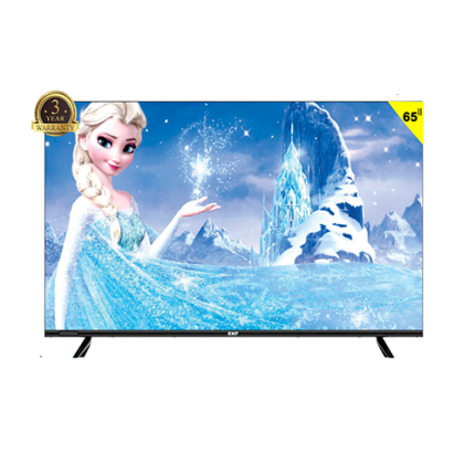 MODEL-RI65SFLOLED SMART TV